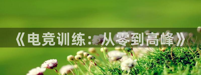 易游电竞酒店：《电竞训练：从零到高峰》