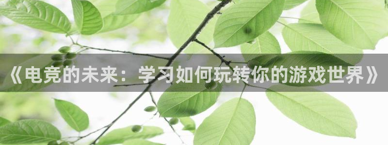 易游电竞淮阴区：《电竞的未来：学习如何玩转你的游戏世界》