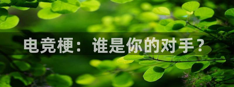 易游电竞酒店：电竞梗：谁是你的对手？