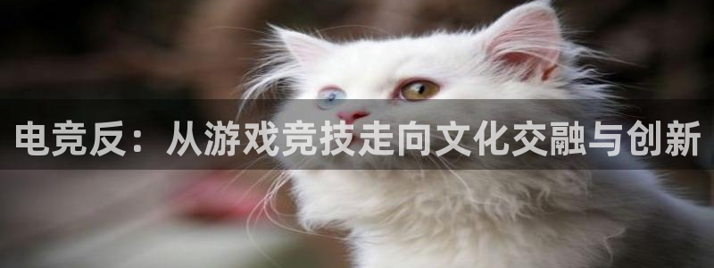 易游电竞馆：电竞反：从游戏竞技走向文化交融与创新