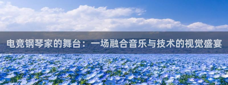 易游电竞网咖：电竞钢琴家的舞台：一场融合音乐与技术的视觉盛宴