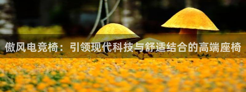 易游电竞中国区：傲风电竞椅：引领现代科技与舒适结合的高端座椅