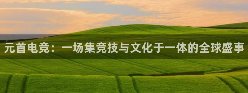 易游电竞淮阴区：元首电竞：一场集竞技与文化于一体的全球盛事