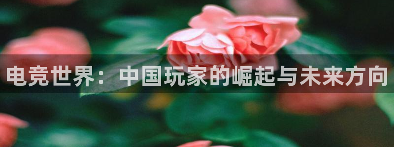 易游电竞馆：电竞世界：中国玩家的崛起与未来方向