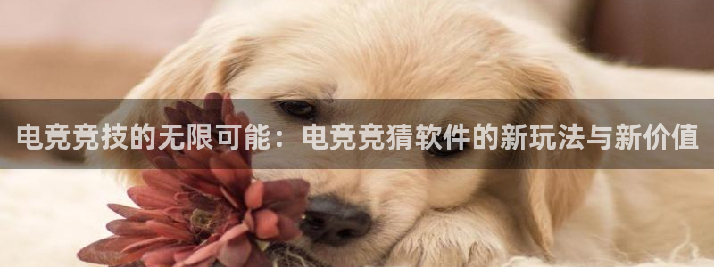 易游电竞：电竞竞技的无限可能：电竞竞猜软件的新玩法与新价值