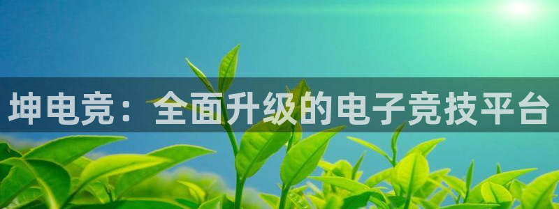 易游电竞淮阴区：坤电竞：全面升级的电子竞技平台