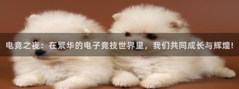 易游电竞官网：电竞之夜：在繁华的电子竞技世界里，我们共同成长与辉煌!