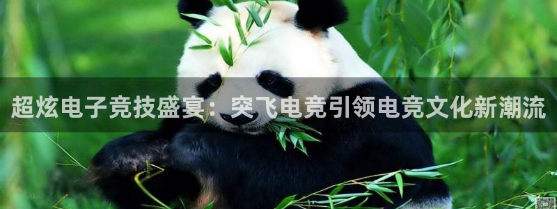 易游电竞官网：超炫电子竞技盛宴：突飞电竞引领电竞文化新潮流