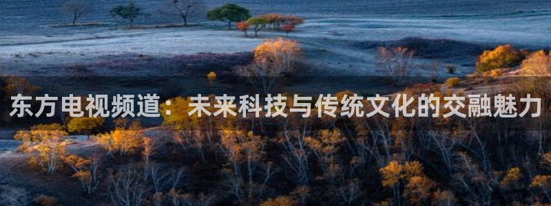 易游电竞：东方电视频道：未来科技与传统文化的交融魅力