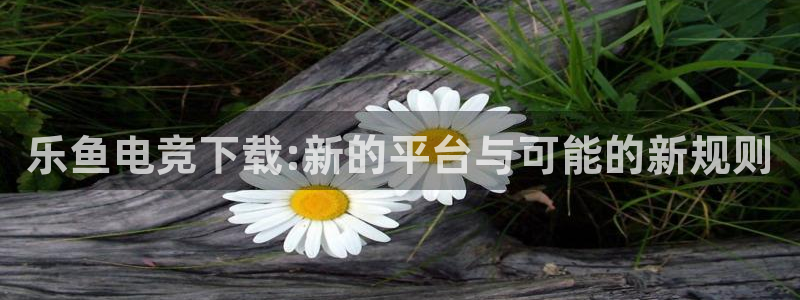 易游电竞中国区：乐鱼电竞下载:新的平台与可能的新规则